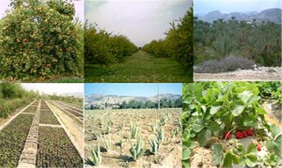 105 طرح کشاورزی در جنوب کرمان افتتاح شد