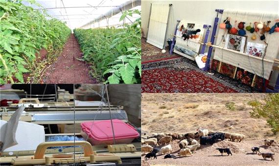 صندوق کارآفرینی امید کرمان 814 فقره تسهیلات روستایی پرداخت کرده است