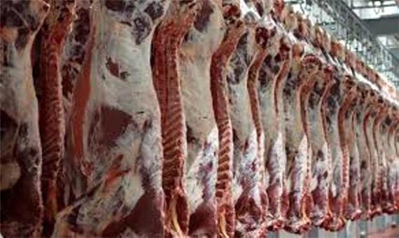 توقیف 800 کیلو گوشت فاسد در سیرجان
