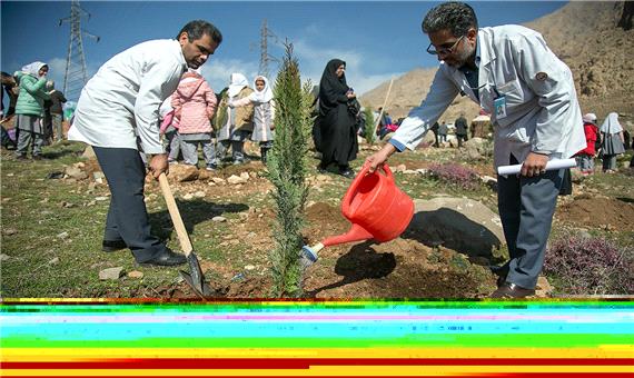 منابع طبیعی جنوب کرمان مردم را برای درختکاری دعوت کرد