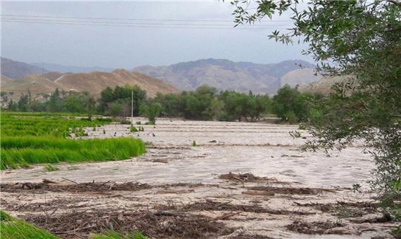 بیش از 113 میلیارد تومان خسارت سیل به کشاورزان جنوب کرمان پرداخت شد