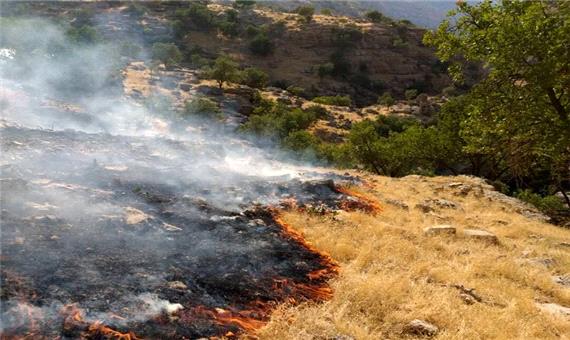 مهار و کنترل آتش سوزی در منطقه حفاظت شده بیرمی استان بوشهر