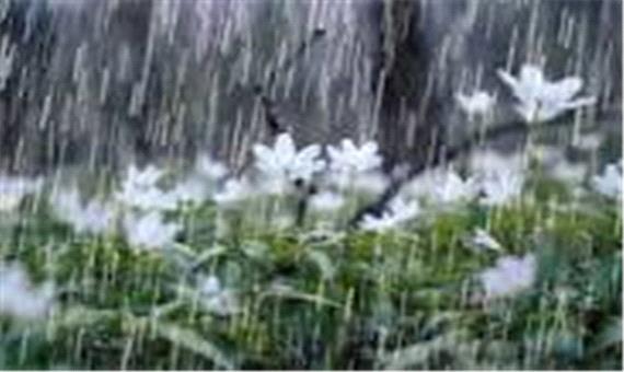 پیش‌بینی رگبار پراکنده باران در کرمان