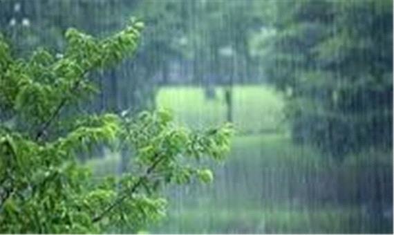 پیش‌بینی بارش پراکنده باران در کرمان