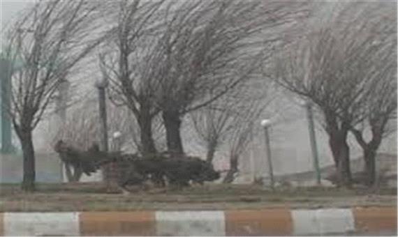 وزش باد نسبتا شدید در جنوب شرق کرمان