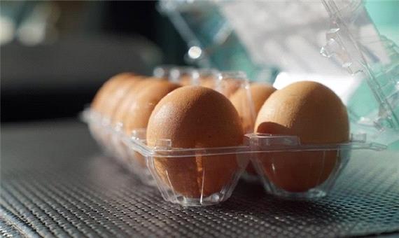 کمبود تخم‌مرغ در استان کرمان نداریم