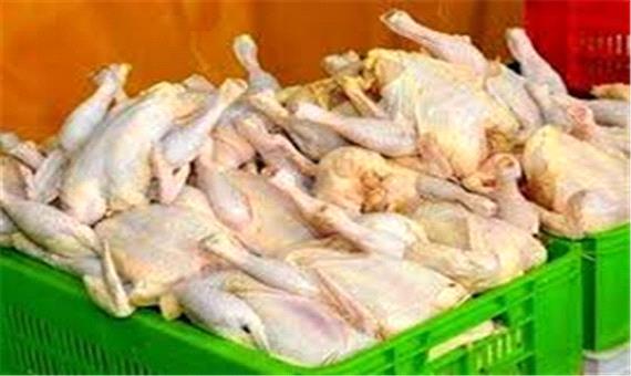 قیمت گوشت مرغ طی 9 روز 1540 تومان گران شد