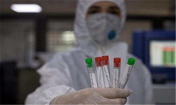 واکسن آنفلوآنزای ایرانی سال آینده توزیع می‌شود
