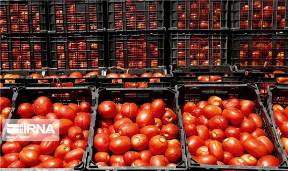 نرخ محصولات کشاورزی استانداردسازی شده جنوب کرمان 20 درصد افزایش یافت
