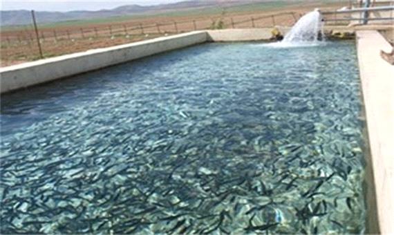 لزوم پرورش ماهیان خاویاری در کرمان