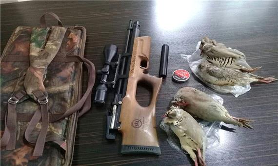 دستگیری شکارچی کبک با سلاح غیر مجاز در سیرجان