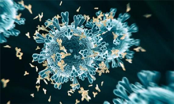 ویروس فعلی کرونا، ویروس ووهان چین نیست