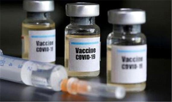 نتایج واکسن ایرانی کرونا امیدوار کننده بوده است