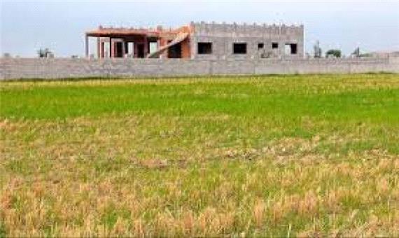50 هکتار اراضی کشاورزی کرمان به وضع سابق برگشت