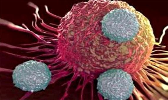 تاثیر میکروب‌های روده در ابتلا به سرطان سینه