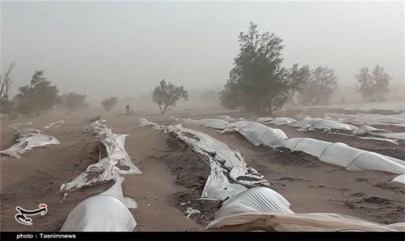 طوفان کشاورزی مردم زهکلوت را با خاک یکسان کرد / مسئولان به یاری مردم منطقه بشتابند + تصاویر