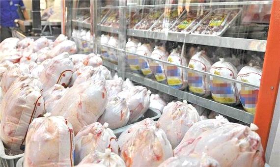 مجوز تولید 200 هزار قطعه مرغ گوشتی در جنوب کرمان صادر شد