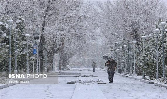 بارش برف در شمال و شمالغرب استان کرمان/ رانندگان به اشتباه نیفتند