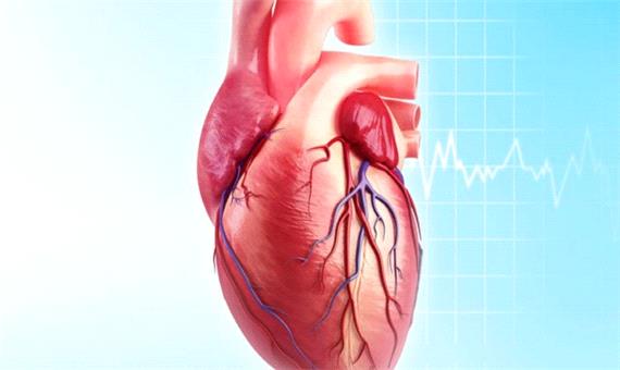 امکان افزایش طول عمردریچه‌های بیولوژیکی قلب فراهم شد