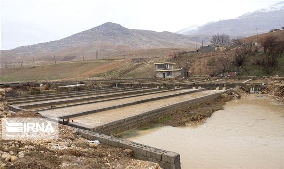 57 طرح منابع طبیعی در جنوب کرمان افتتاح یا کلنگ زنی می‌شود