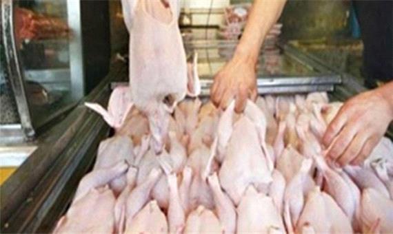 قول فرماندار رفسنجان برای پایان صف‌های خرید مرغ/همت بسیج اصناف برای مدیریت بازار