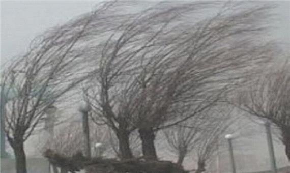 وزش باد شدید در کرمان پیش بینی می شود