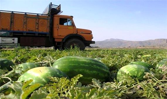 106 شرکت حمل و نقل، پا به رکاب حمل محصولات کشاورزی جنوب کرمان