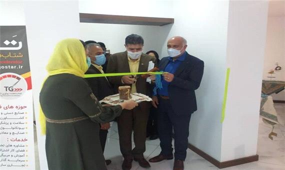 نمایشگاه تخصصی پته کهن در کرمان افتتاح شد