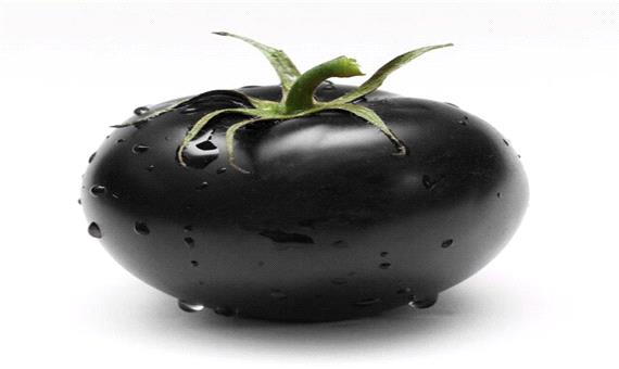 آغاز احداث فاز جدید گلخانه گوجه سیاه در رفسنجان
