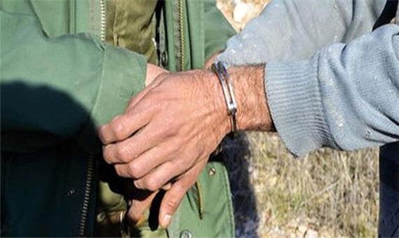 دستگیری 2 گروه متخلف شکار و زنده‌گیری پرندگان در جیرفت
