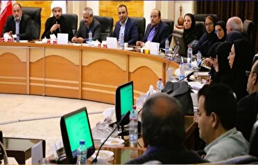 بارداری ها و سقط خود به خودی جنین در کرمان