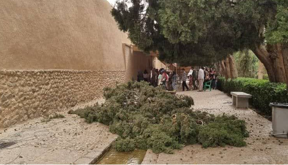 باغ شاهزاده ماهان عصر یکشنبه تعطیل است
