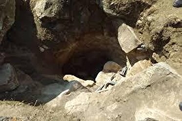 دستگیری حفاران غیرمجاز در قلعه گنج