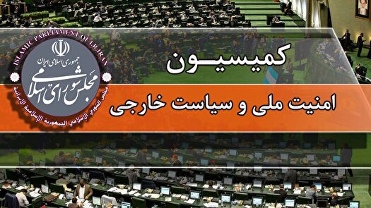 بررسی جزئیات طرح تقویت مرزبانی در کمیسیون امنیت ملی