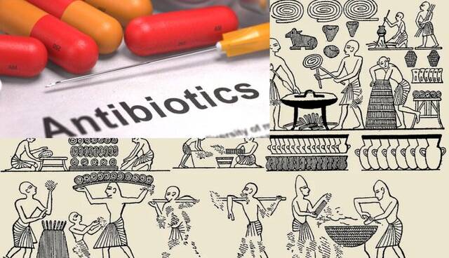 از کشف آنتی‌بیوتیک روی نان‌های کپک‌زده مصر باستان تا معرفی پنی‌سیلین