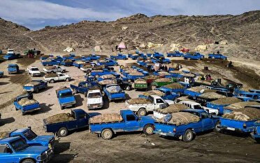 قاچاق سوخت به صورت شبکه‌ای در استان کرمان