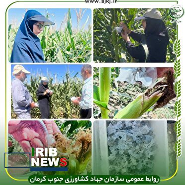 کنترل بیولوژیک افت ذرت