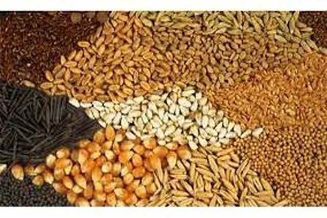 ذخیره سالیانه ۸۰ هزار تن نهاده دامی در کرمان/ توزیع ۲۰۰۰ تن گوشت و مرغ برای تنظیم بازار