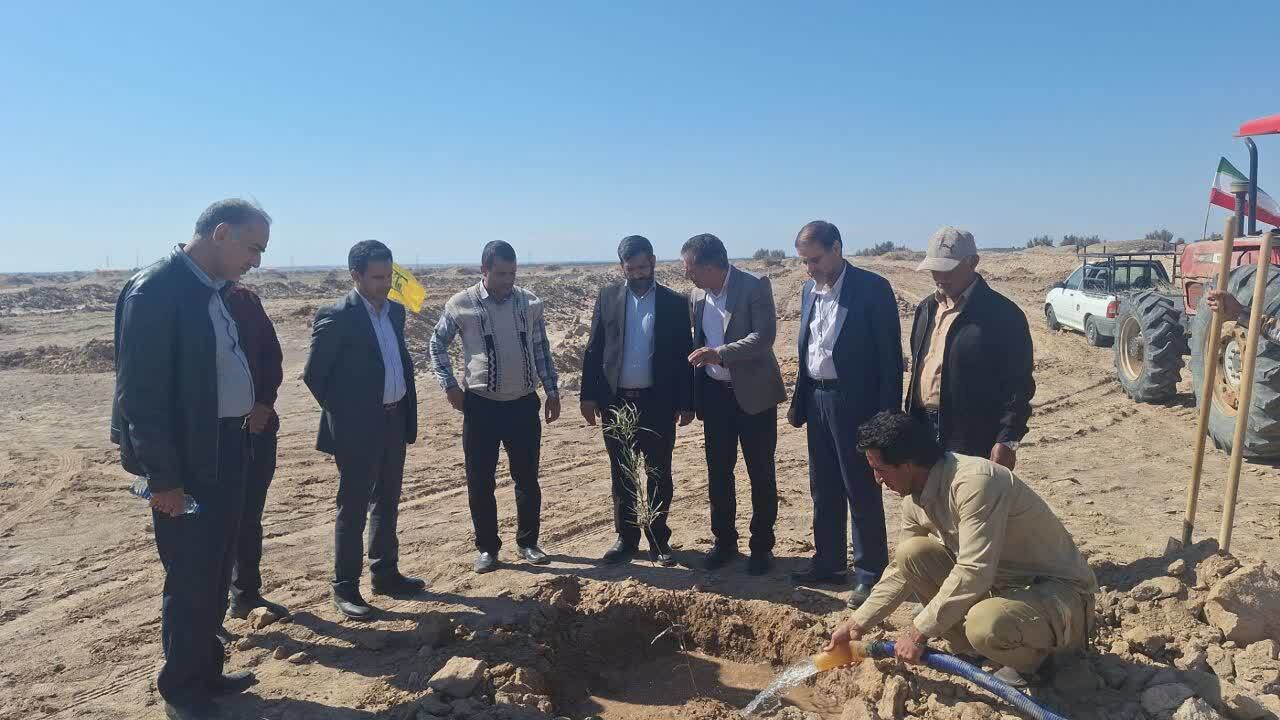 طرح‌های بیابان‌زدایی ضامن پایداری زیست‌محیطی و اقتصادی