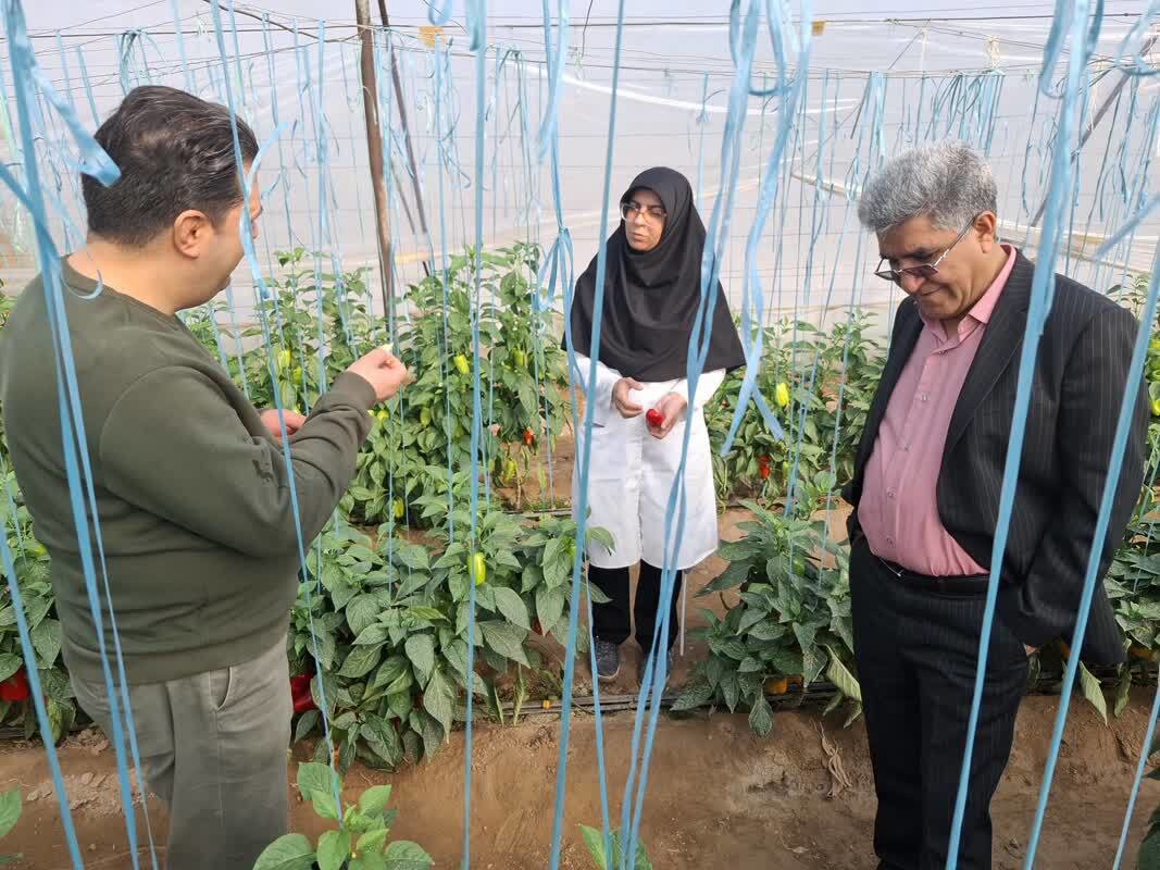 بازدید از آزمایشگاه کشت بافت مرکز جنوب کرمان