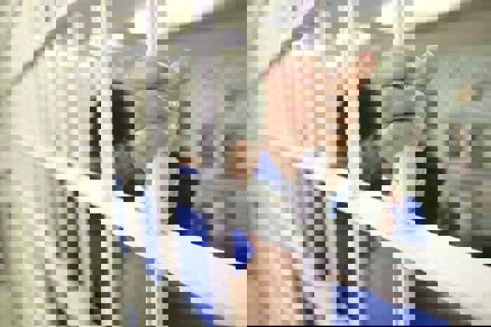 شاکیان کرمانی ۷۹ درصد مطالبات خود را بخشیدند