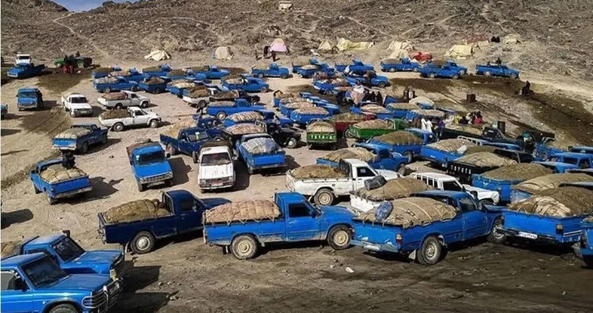 مصوبه مجلس برای کاهش قاچاق سوخت