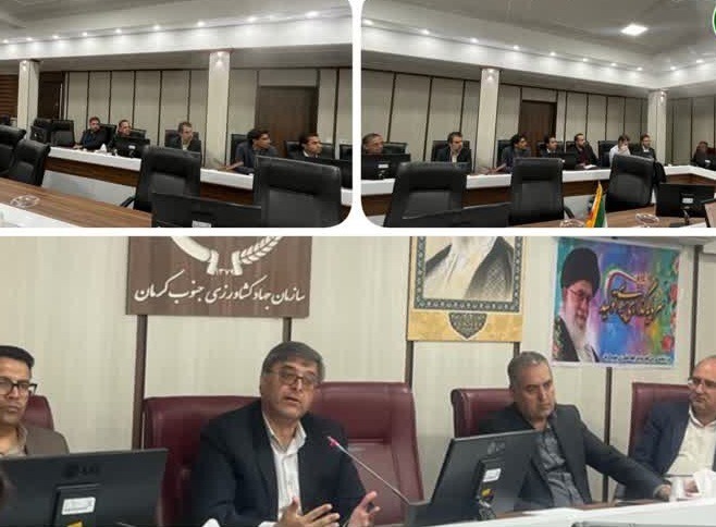 جلسه‌ی ستاد بیمه محصولات کشاورزی با محوریت بیمه گندم برگزار شد