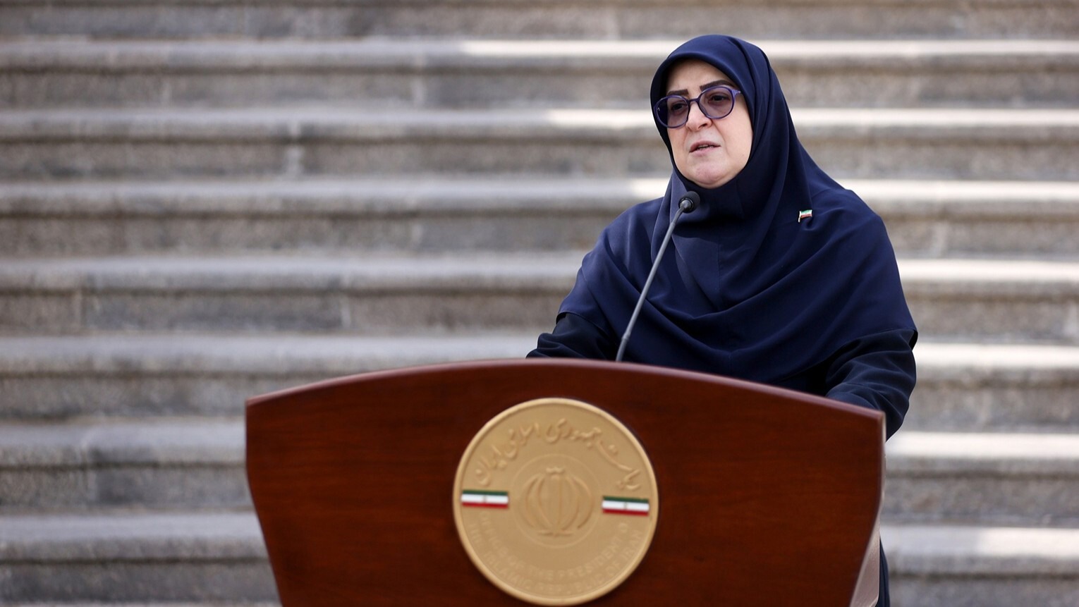 مهاجرانی: تغییری در وضعیت ارز دارو ایجاد نخواهد شد