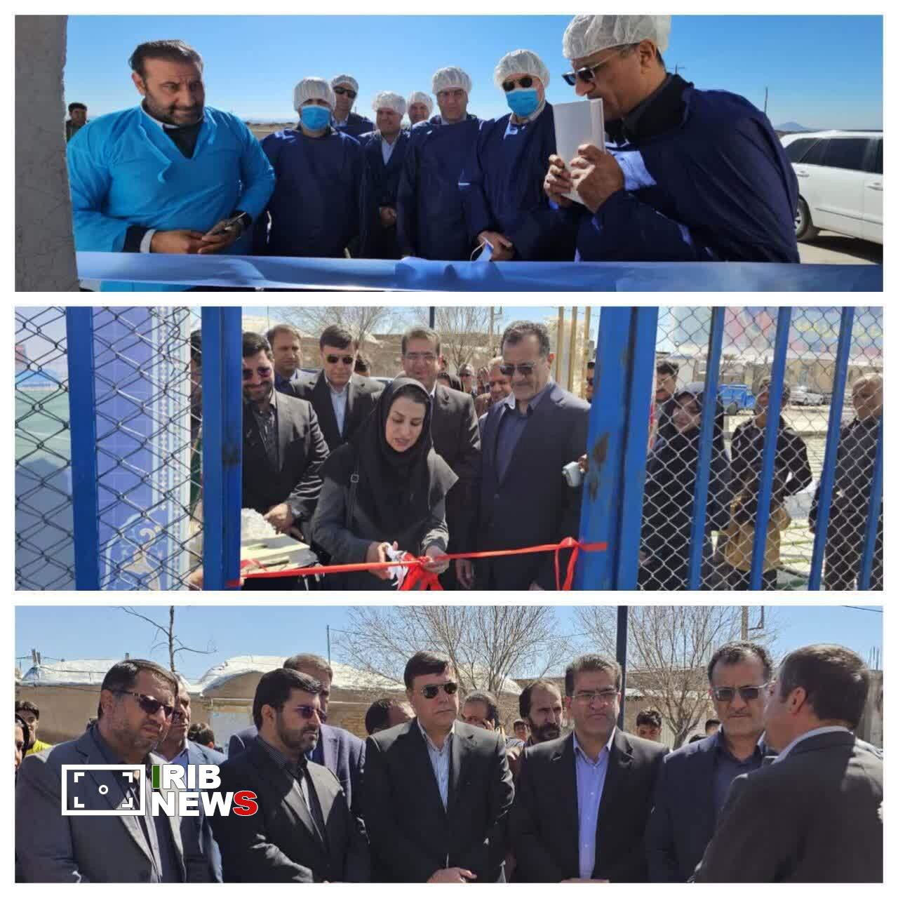 تمرکز دولت حمایت از کسب و کارهای خرد