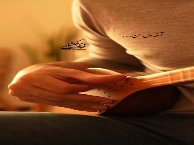 از شنیدن این سه تار نوازی خسته نمی شوید