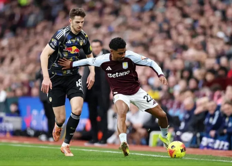 زیباترین گل روز در ویلاپارک