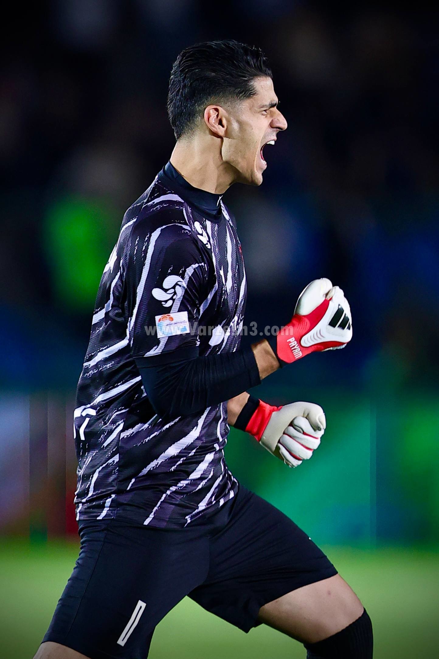 کرمان رصد