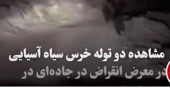 کرمان رصد