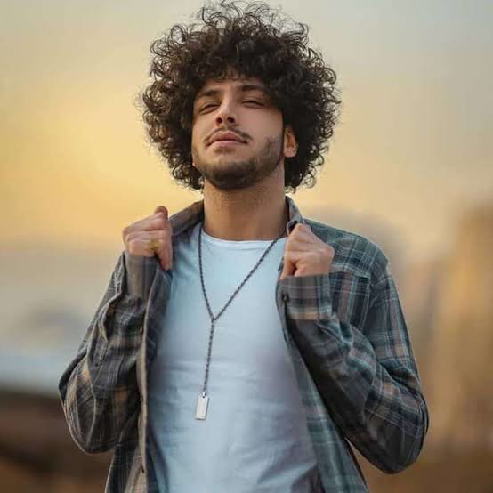 آهنگ پس فردا با صدای احسان دریادل
